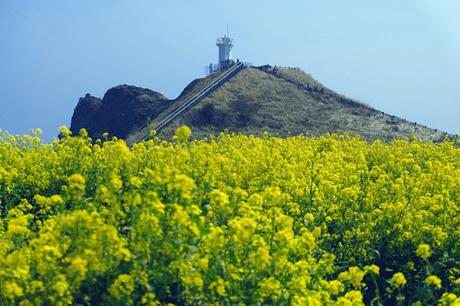 History and Nature in East Jeju