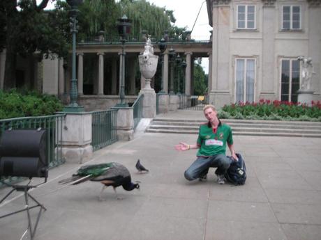 Big Bird, Hot Dogs, Football and A Lying “Friend”: The Story of How I Ended Up Living In Poland Big Bird, Hot Dogs, Football and A Lying “Friend”: The Story of How I Ended Up Living In Poland