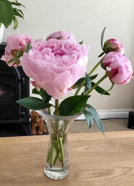 In a Vase on Monday – Perfect Peonies