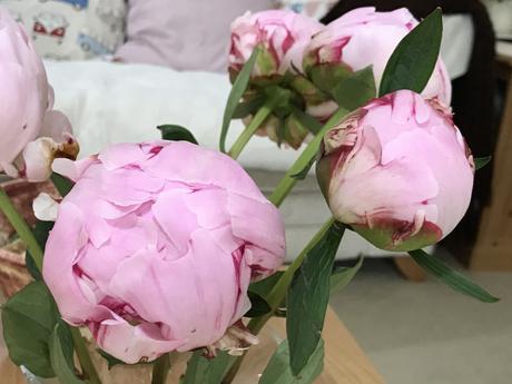 In a Vase on Monday – Perfect Peonies