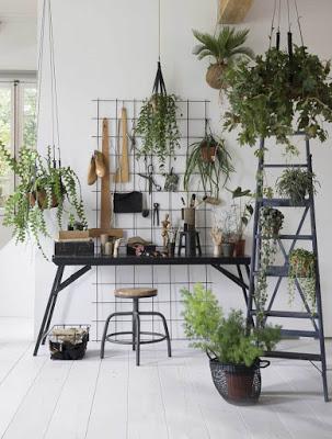 inspiration board | decorating with plants inspiration board | decorating with plants