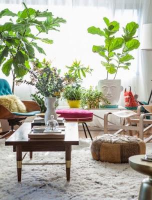 inspiration board | decorating with plants inspiration board | decorating with plants