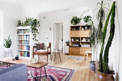 inspiration board | decorating with plants inspiration board | decorating with plants