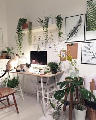 inspiration board | decorating with plants inspiration board | decorating with plants