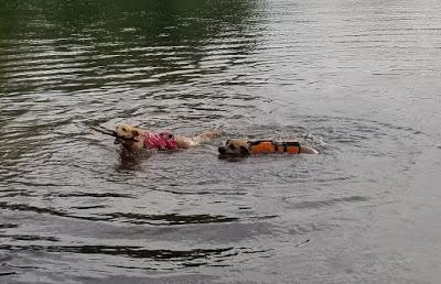 Jake Goes Swimming!