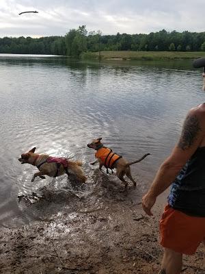 Jake Goes Swimming!