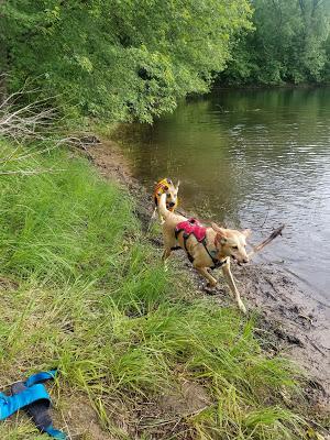 Jake Goes Swimming!