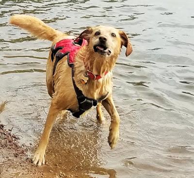 Jake Goes Swimming!