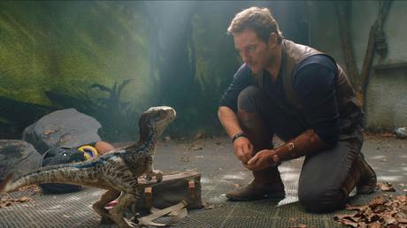 Next Edition of Moviebill Allows Fans To Bring Jurassic World Dinosaurs Home With Them