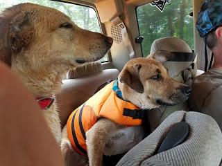 Jake Goes Kayaking!