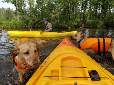 Jake Goes Kayaking!