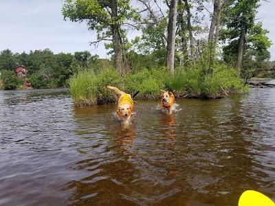 Jake Goes Kayaking!