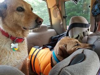 Jake Goes Kayaking!