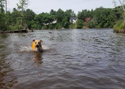 Jake Goes Kayaking!