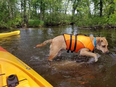 Jake Goes Kayaking!