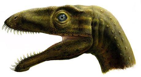 Reconstruction of the small Madagascan theropod Masiakasaurus, whose bizarre teeth were possibly an influence on the creation of the new hybrid dinosaur ‘Indoraptor’