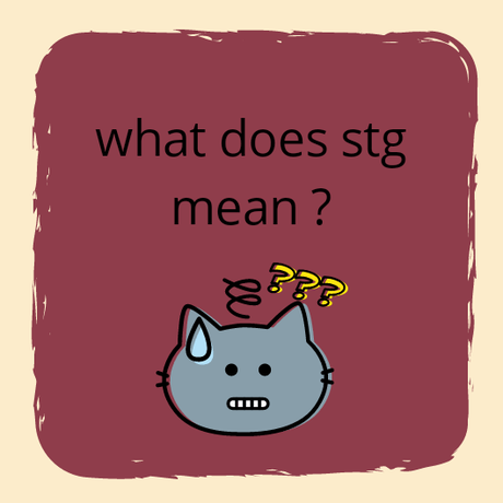 STG Meaning: What Does STG Mean and Stand for? • 7ESL