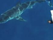 Personal Deterrents Reduce Risk Shark Bites