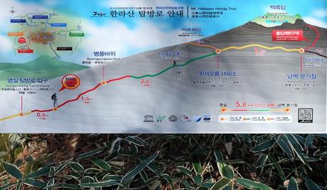 Hiking Hallasan via Yeongsil and Eorimok Trails