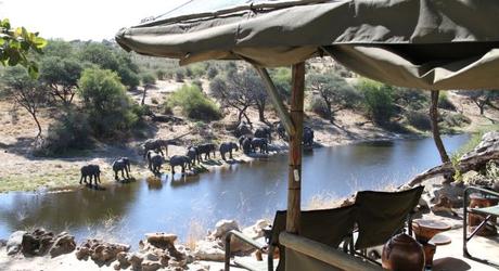 Top 10 Unique Luxury African Safaris for You