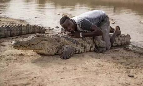 friendly crocodiles of “Ouagadougou”   Burkina Faso