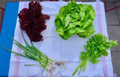 Latest harvests from our garden with yummy recipes!