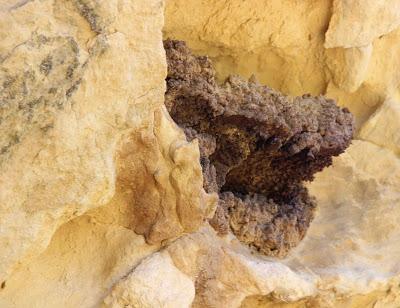 Shelters in Tafoni (those curious holes in the rock)