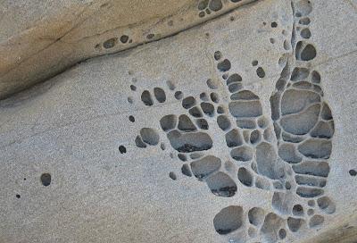 Shelters in Tafoni (those curious holes in the rock)