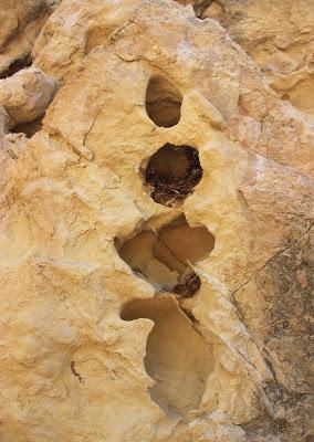 Shelters in Tafoni (those curious holes in the rock)