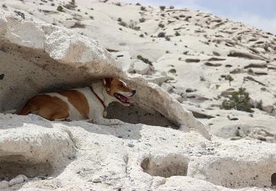 Shelters in Tafoni (those curious holes in the rock)