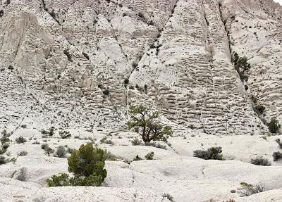 Shelters in Tafoni (those curious holes in the rock)