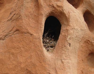 Shelters in Tafoni (those curious holes in the rock)