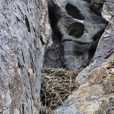 Shelters in Tafoni (those curious holes in the rock)