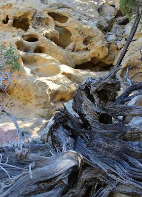 Shelters in Tafoni (those curious holes in the rock)