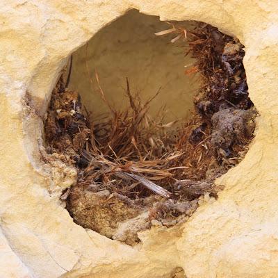 Shelters in Tafoni (those curious holes in the rock)