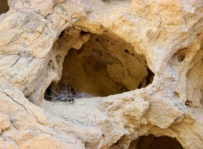 Shelters in Tafoni (those curious holes in the rock)