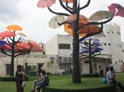 DAILY PHOTO: Colorful Little India