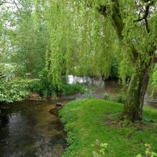 River Wensum
