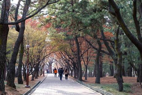 Walking Around Gyeongju