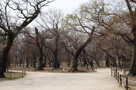 Walking Around Gyeongju