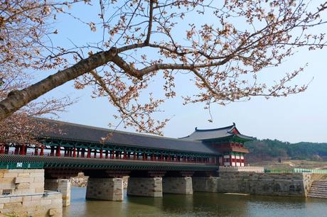 Walking Around Gyeongju