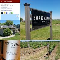 Finding Riesling and Gamay in the Niagara Escarpment & Back 10 Cellars