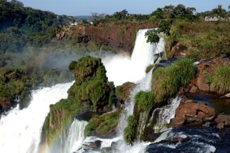 A Group Life at the Waterfalls of Iguazu