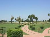 DAILY PHOTO: Rani Gardens