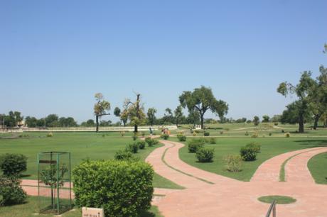 DAILY PHOTO: Rani Ki Vav Gardens