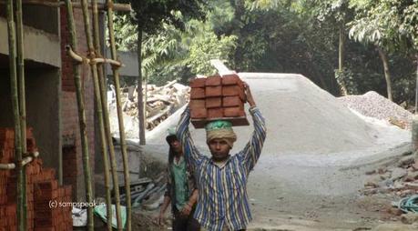 Employee Compensation Insurance ~  Insurer's liability on interest