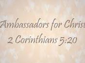 This What They Forget