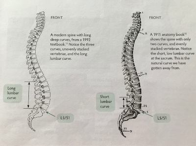 How Spinefulness Helped Improve My Upper Back