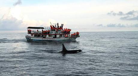 Everything You Need To Know About Taiwan Travel!