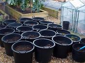 Garden Year Words Pictures